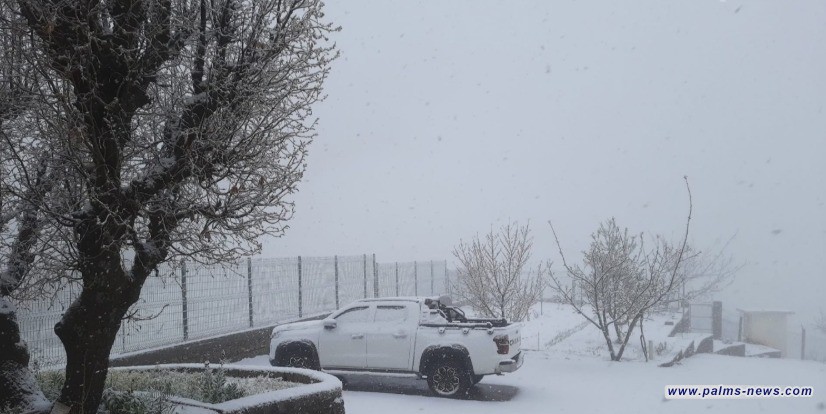 زائر أبيض يمدد الشتاء في مناطق كوردستانية